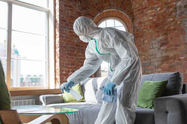 Why You Should Choose Our Mold Remediation Services in Bernalillo, NM